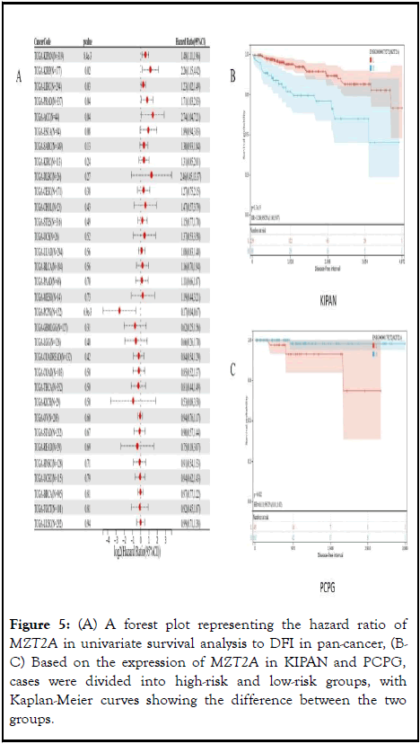 Immunome-Research