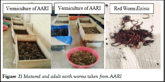 agbir-area
