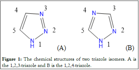 ano-triazole
