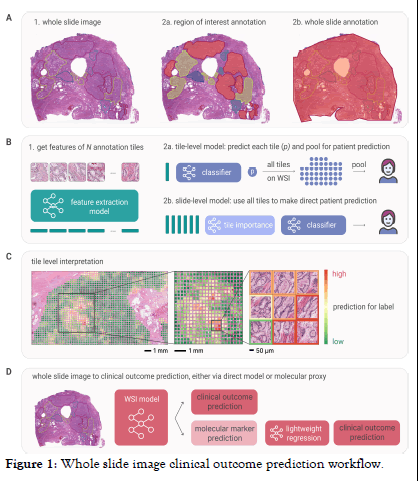ano-workflow ano-workflow