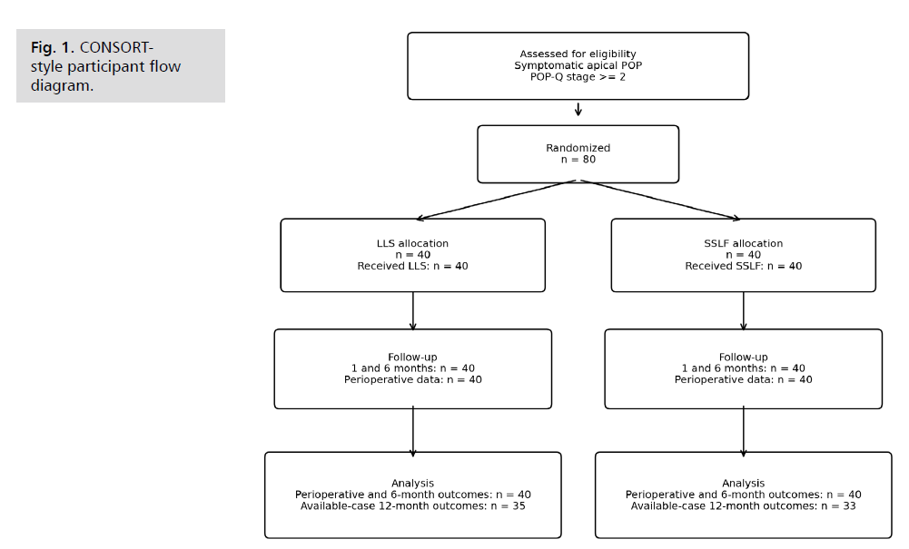 ginekologia-flow-diagram