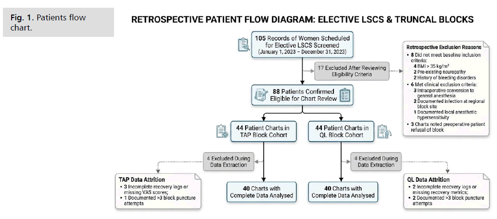 ginekologia-patients-flow-chart