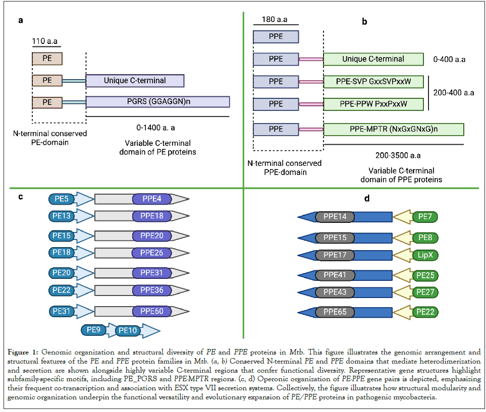 immunome