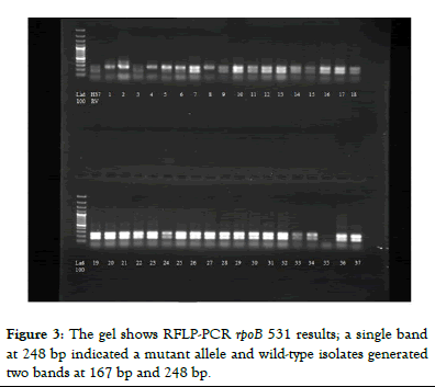 mdtl-pcr