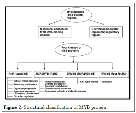 Figure2