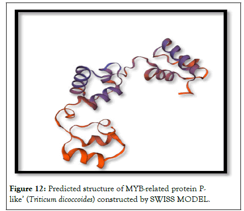 Figure5