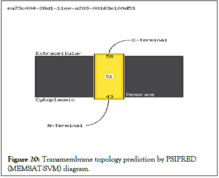 figure20