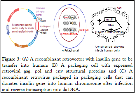 tmcr-exosomes