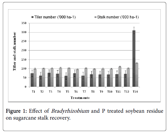 Agricultural-Science-stalk-recovery