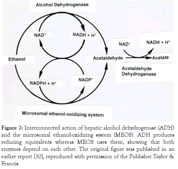 Biochemistry-Pharmacology-oxidizing-system