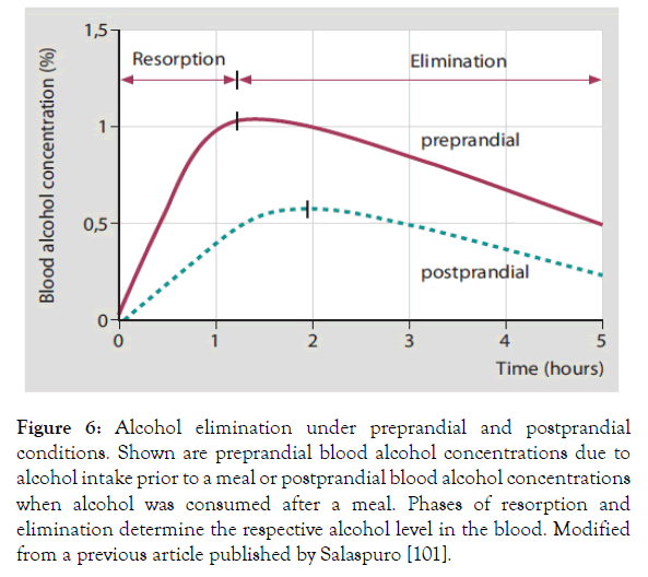 Biochemistry-Pharmacology-postprandial-blood