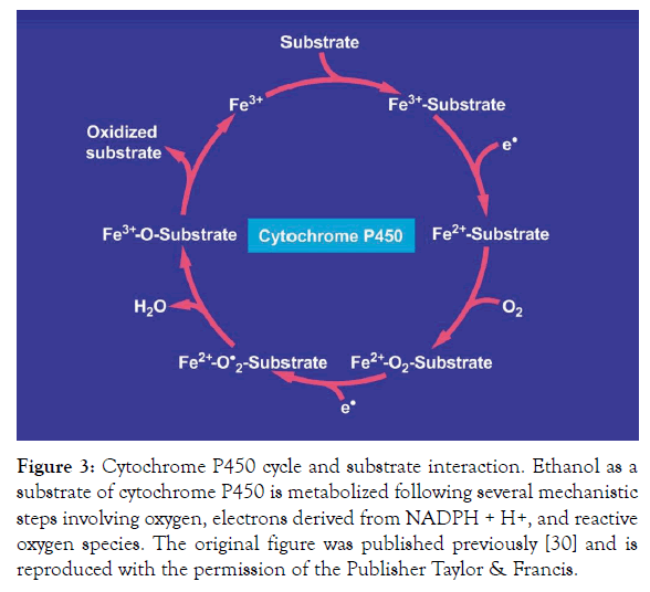 Biochemistry-Pharmacology-substrate-interaction