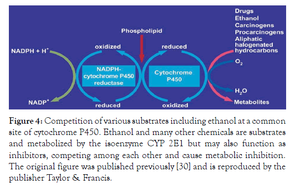 Biochemistry-Pharmacology-various-substrates