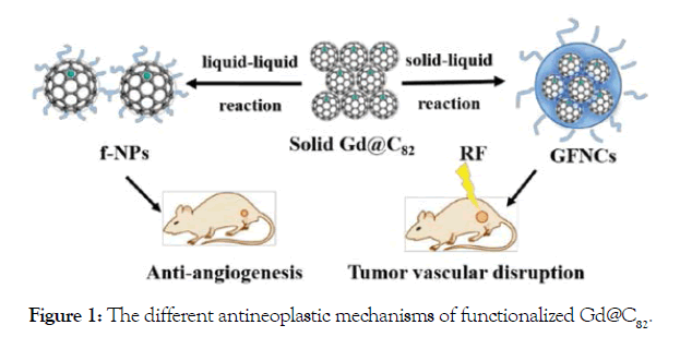 Biology-Medicine-antineoplastic-mechanisms