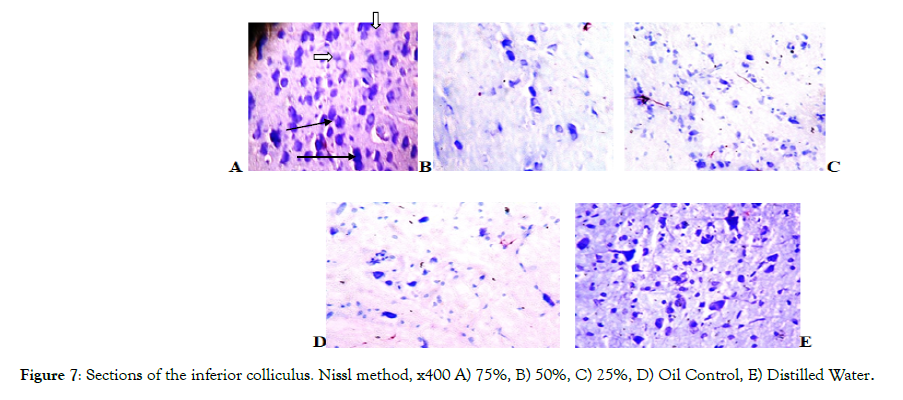 Cell-Developmental-Biology-Nissl-method