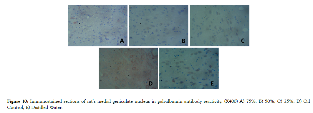 Cell-Developmental-Biology-medial-geniculate