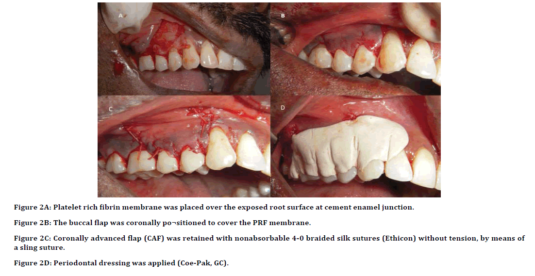 Dental-Science-exposed