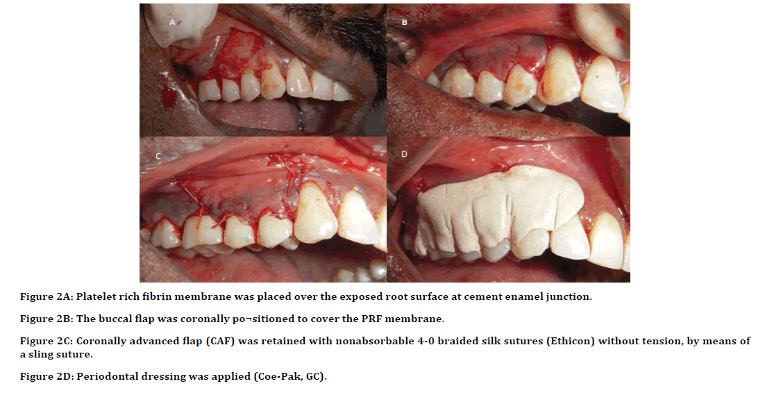 Dental-Science-exposed Dental-Science-exposed