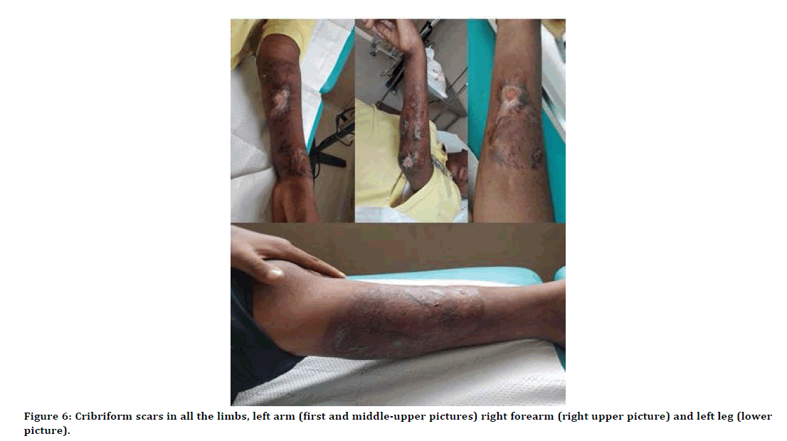 Dental-Science-right-forearm Dental-Science-right-forearm
