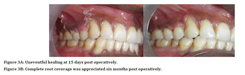 Dental-Science-root