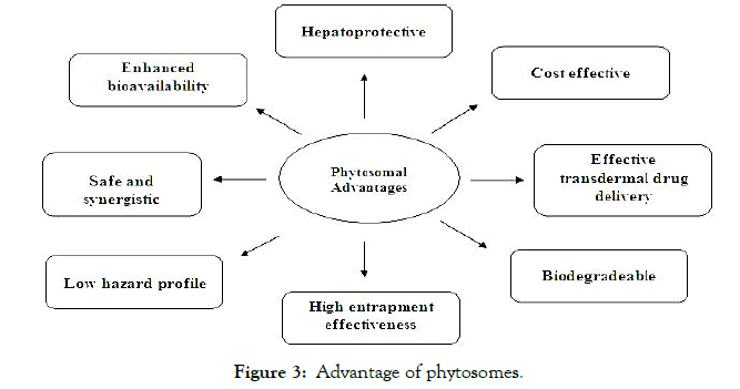 Developing-Drugs-Advantage-phytosomes