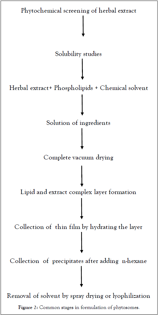 Developing-Drugs-formulation-phytosomes