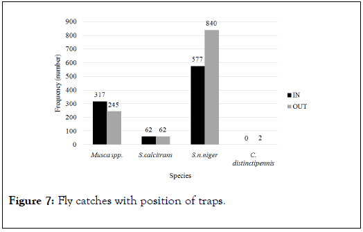 Entomology-Ornithology-Herpetology-catches