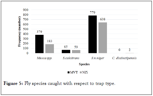 Entomology-Ornithology-Herpetology-respect