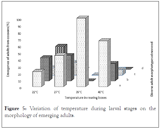 Entomology-Ornithology-Herpetology-stages