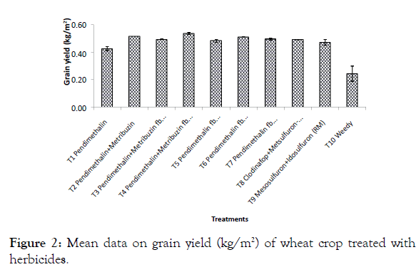 Food-Research-wheat-crop