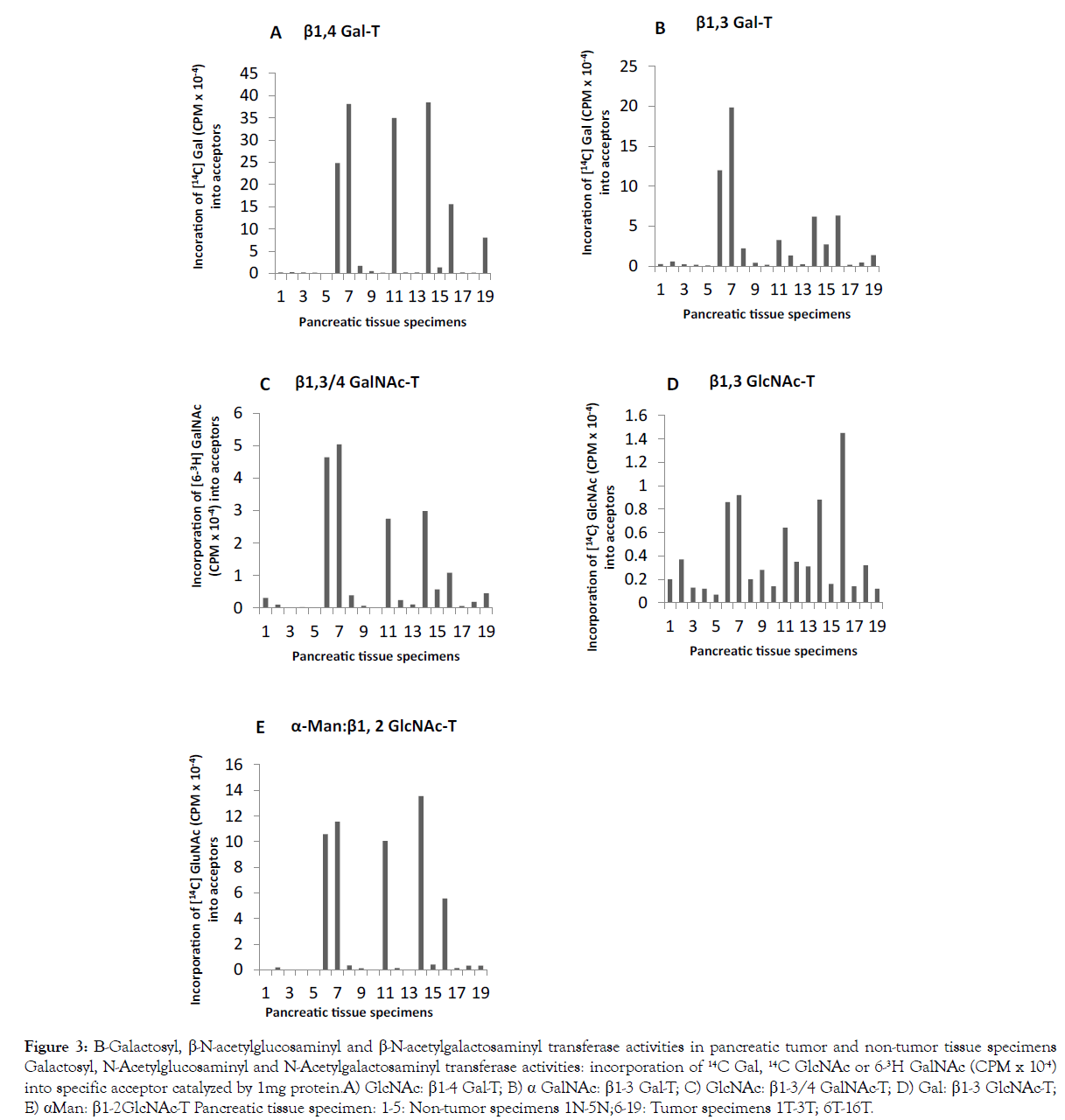 Glycobiology-glycoprotein-expression