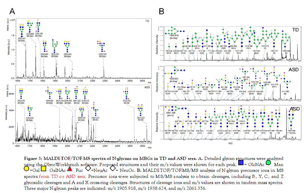 Glycobiology-higher-expression