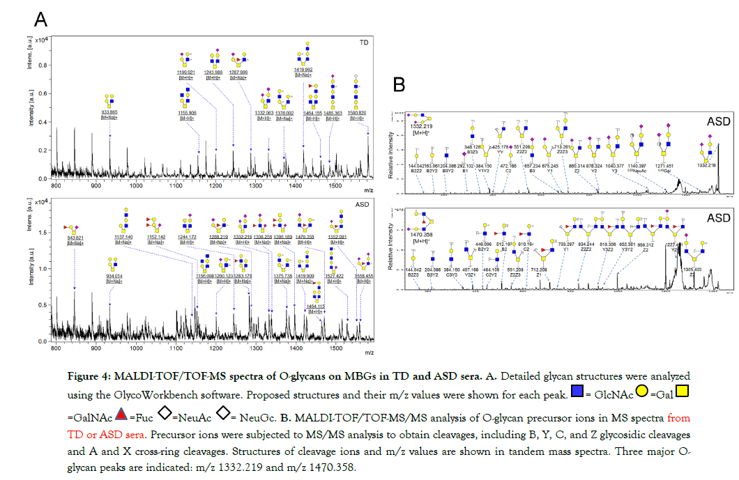 Glycobiology-higher-expression