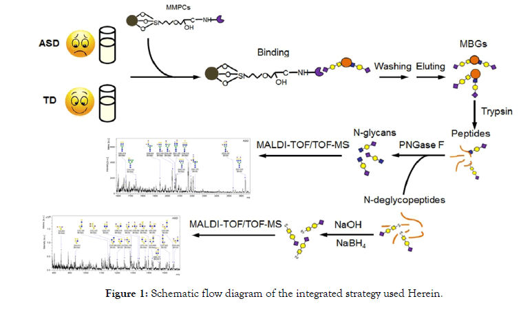 Glycobiology-integrated-strategy