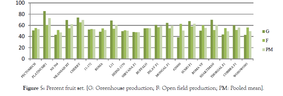 Horticulture-Greenhouse-production