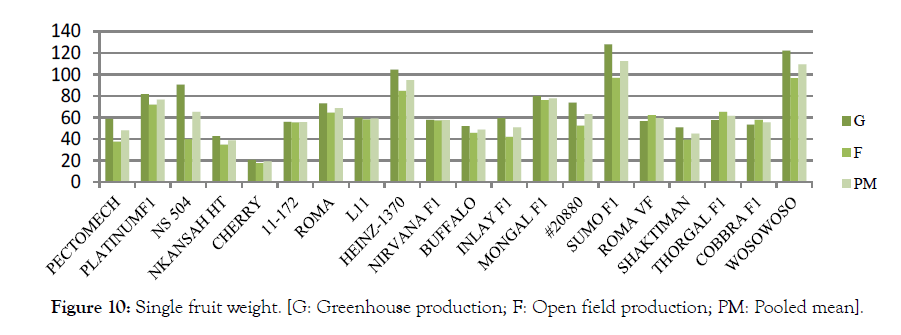 Horticulture-Greenhouse-production