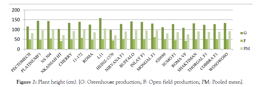 Horticulture-Open-field