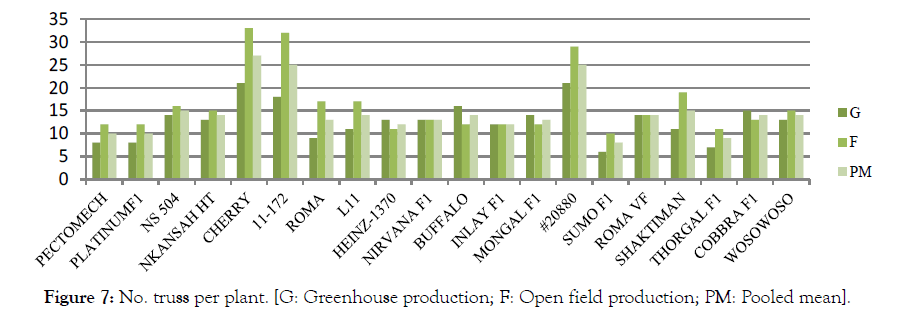 Horticulture-Open-field