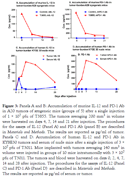 Immunotherapy-murine