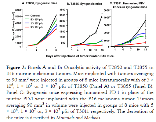 Immunotherapy-tumors