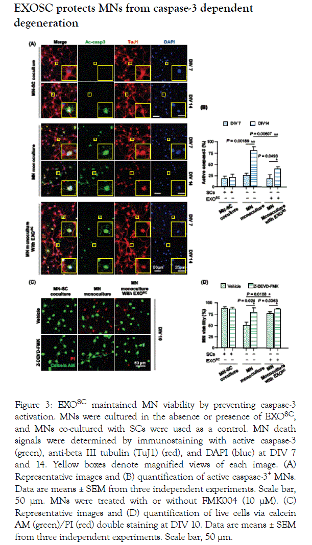 Immunotherapy-viability