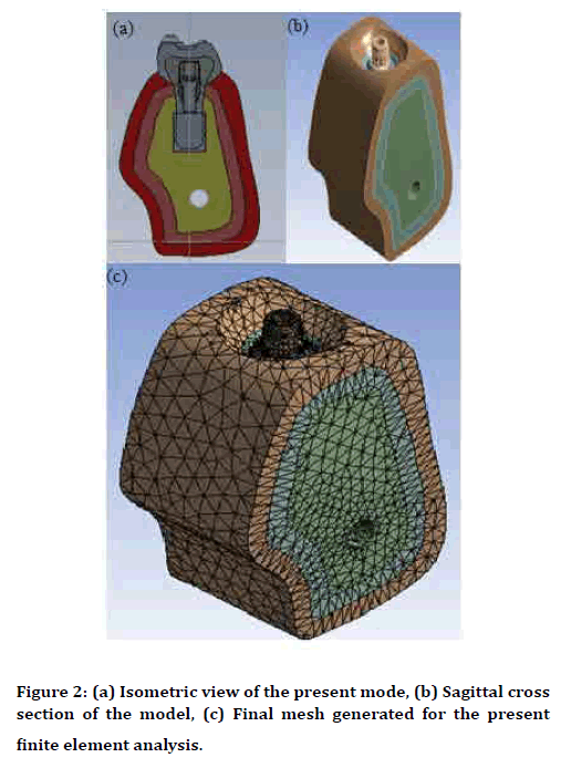 Medical-Dental-Isometric-view