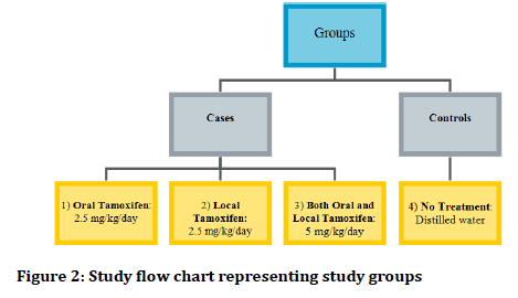 Medical-Dental-Science-Study-flow