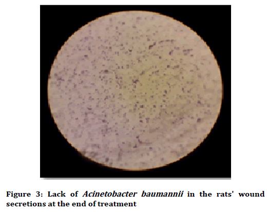 Medical-dental-science-Acinetobacter-baumannii