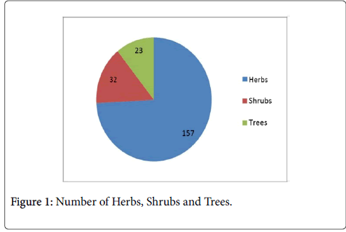 Medicinal-Aromatic-Plants-Herbs-Trees