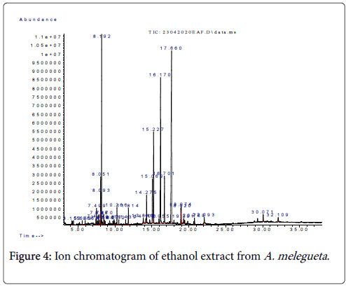 Medicinal-Aromatic-Plants-Ion-ethanol