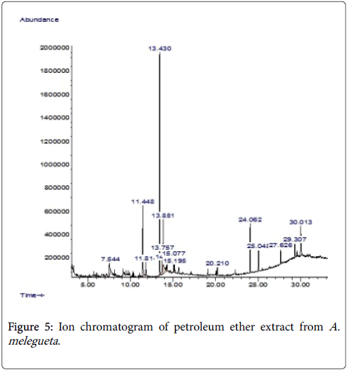 Medicinal-Aromatic-Plants-Ion-petroleum