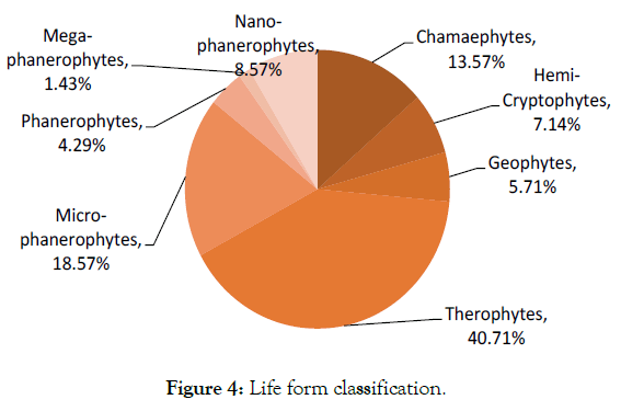 Medicinal-Aromatic-Plants-Life-classification