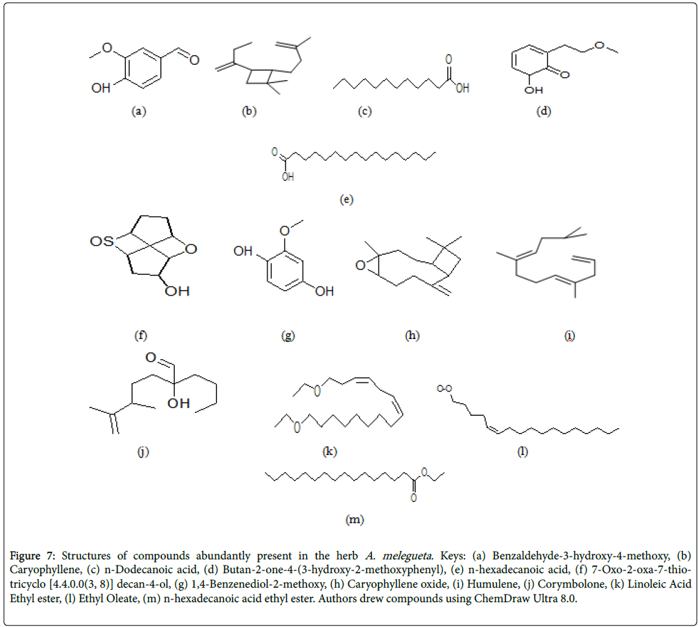 Medicinal-Aromatic-Plants-acid-ethyl-ester