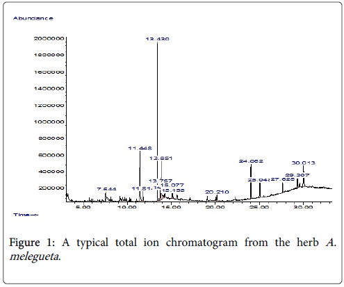 Medicinal-Aromatic-Plants-chromatogram